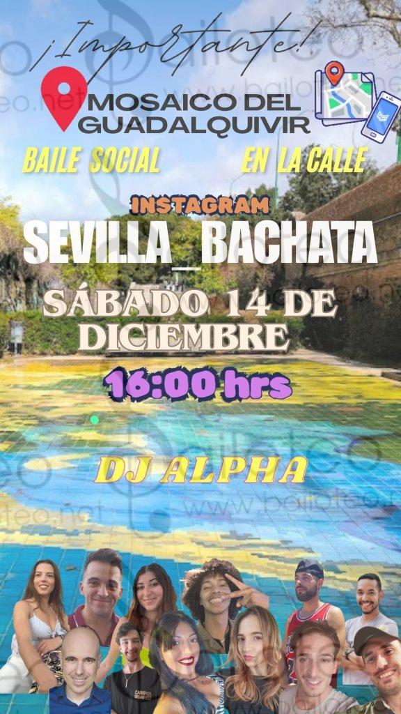 Bailoteo Baile Social Bachata en la Calle el Sabado 14 de diciembre 2024